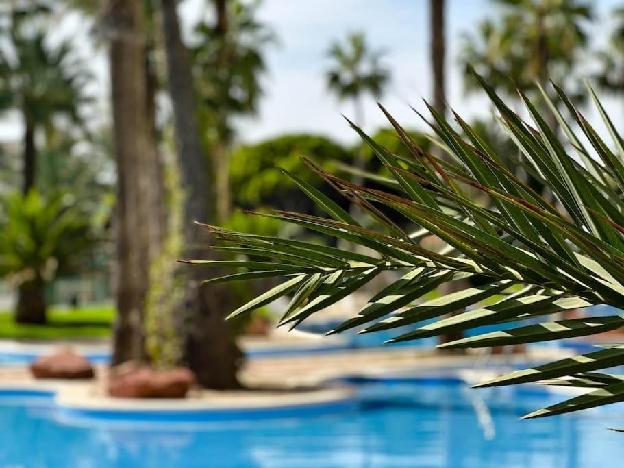 Apto. Tobago, Vistas Y Urbanizacion De Ensueno El Campello Exteriér fotografie